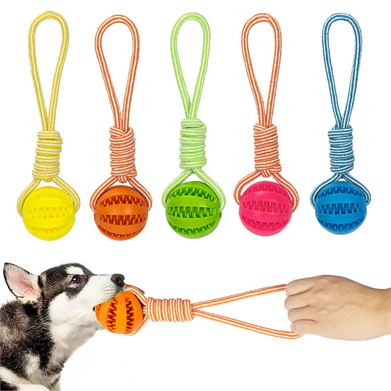 Dog chew toys