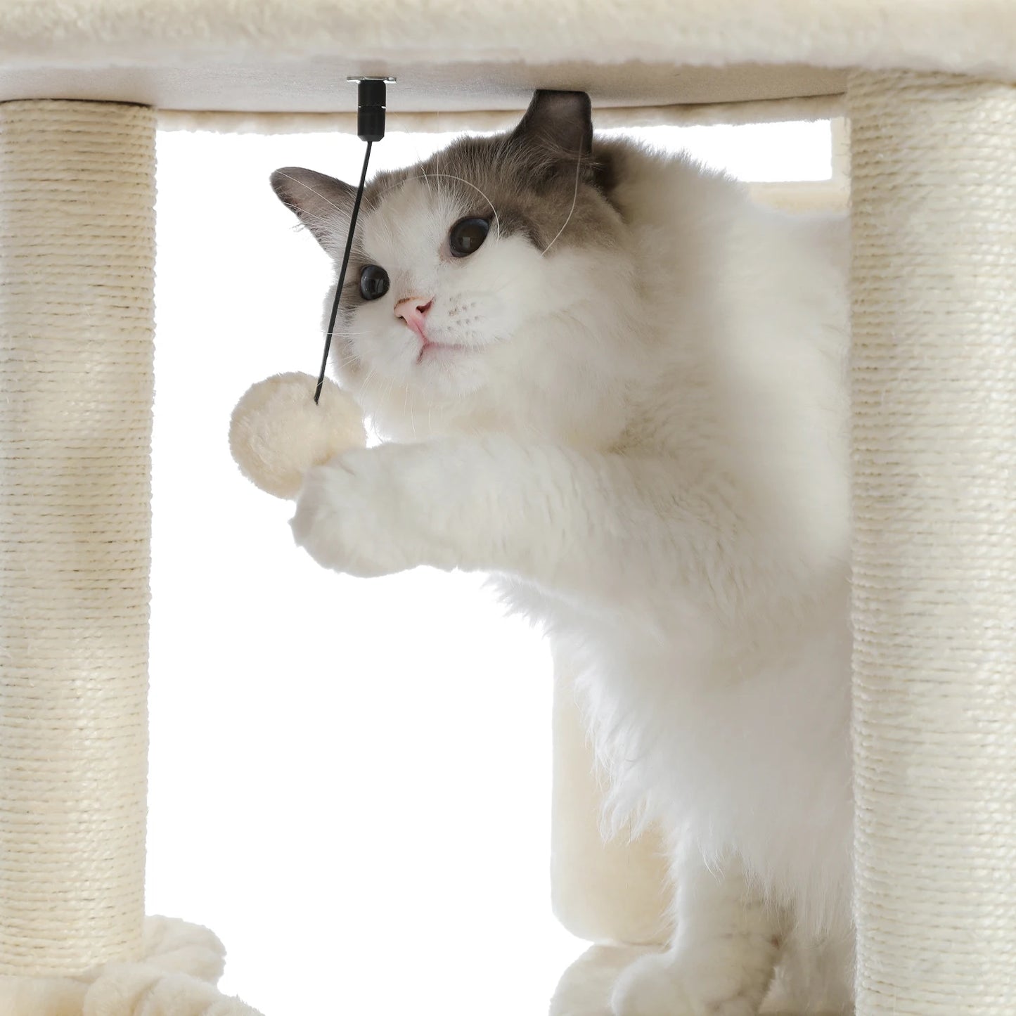 Luxury Cat Tree House Towers - Different Options