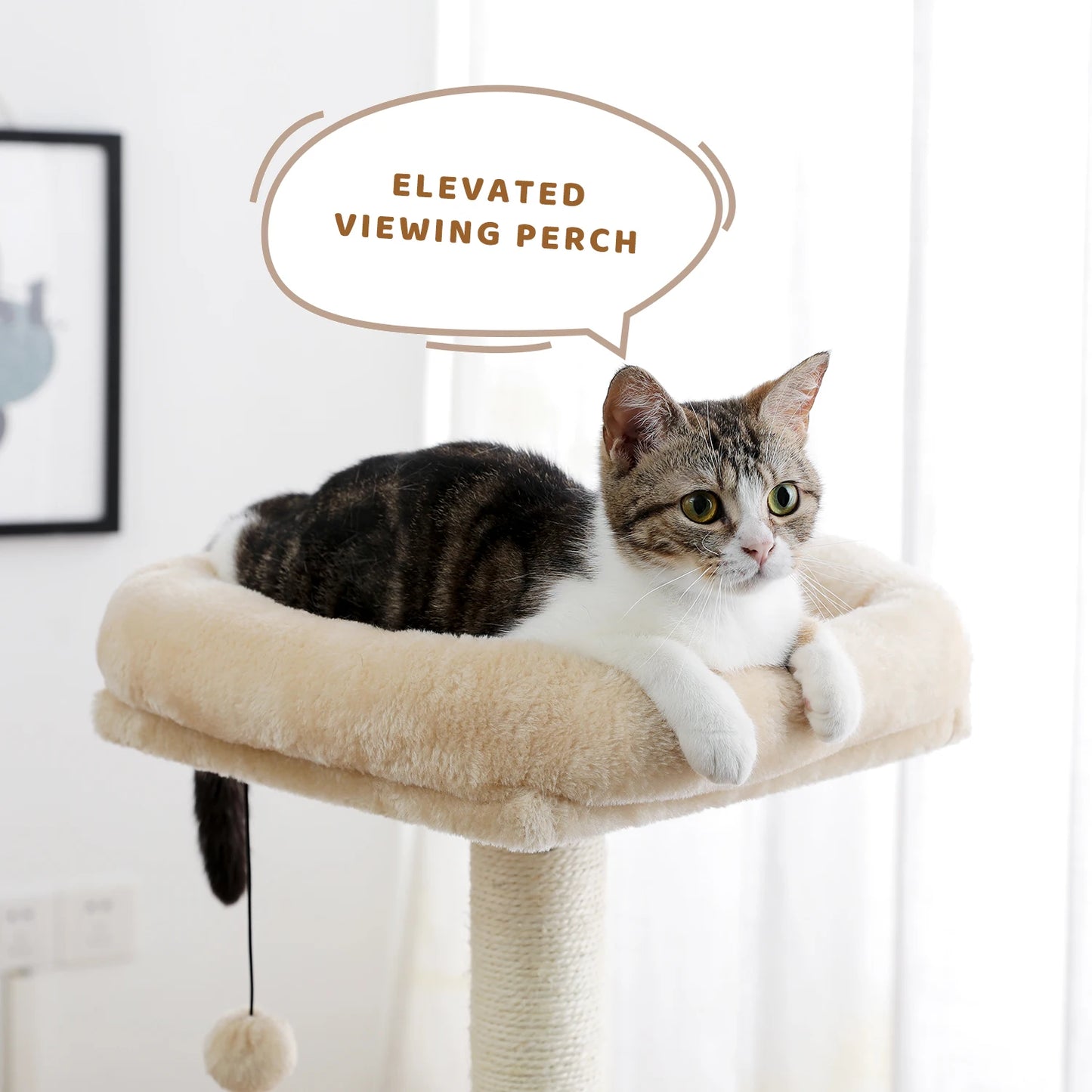 Luxury Cat Tree House Towers - Different Options