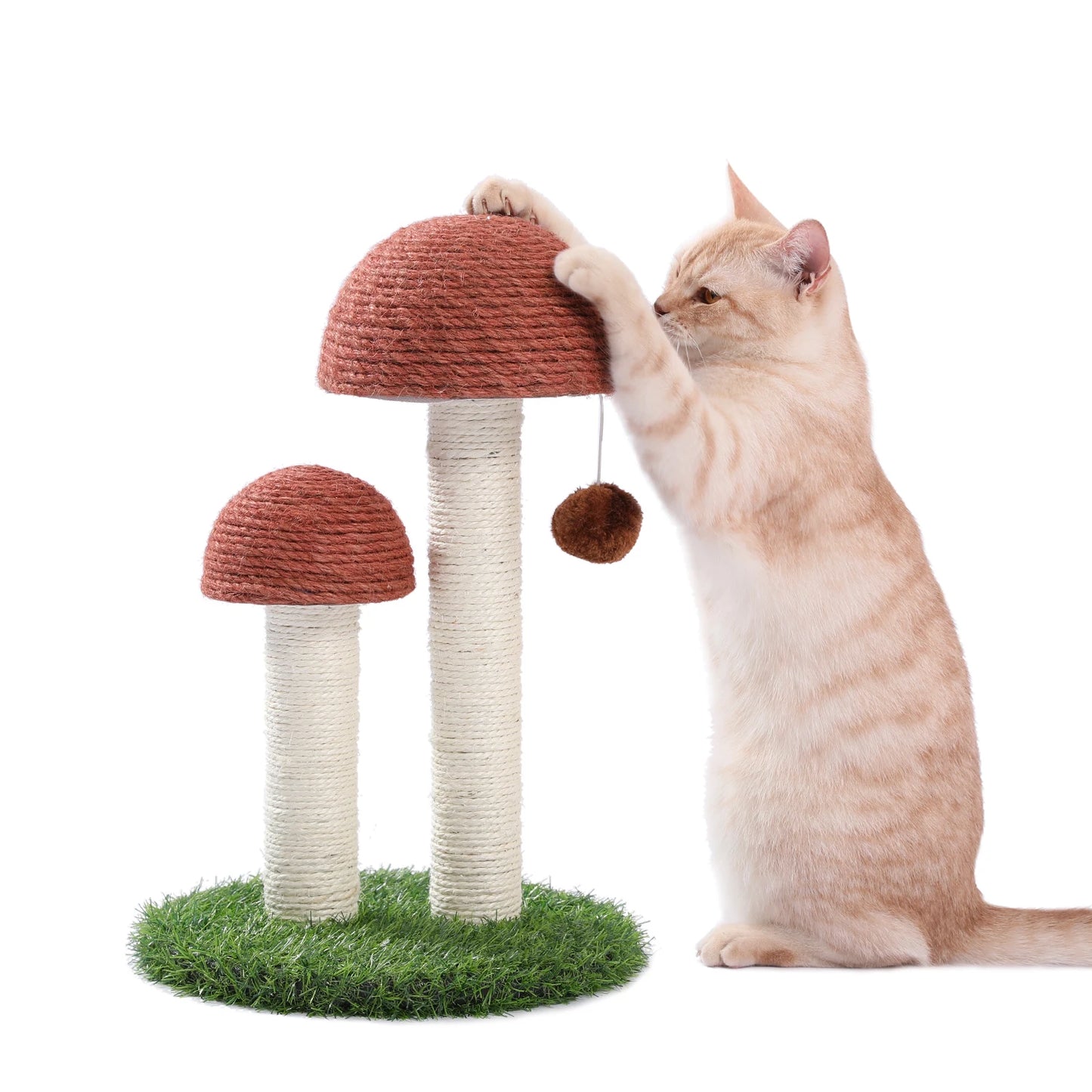 Luxury Cat Tree House Towers - Different Options