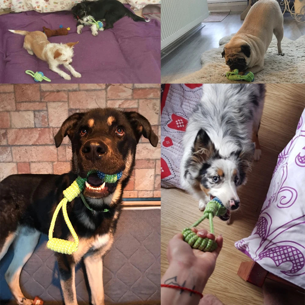 Dog Chew Toys Variety