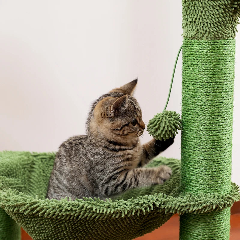 Luxury Cat Tree House Towers - Different Options