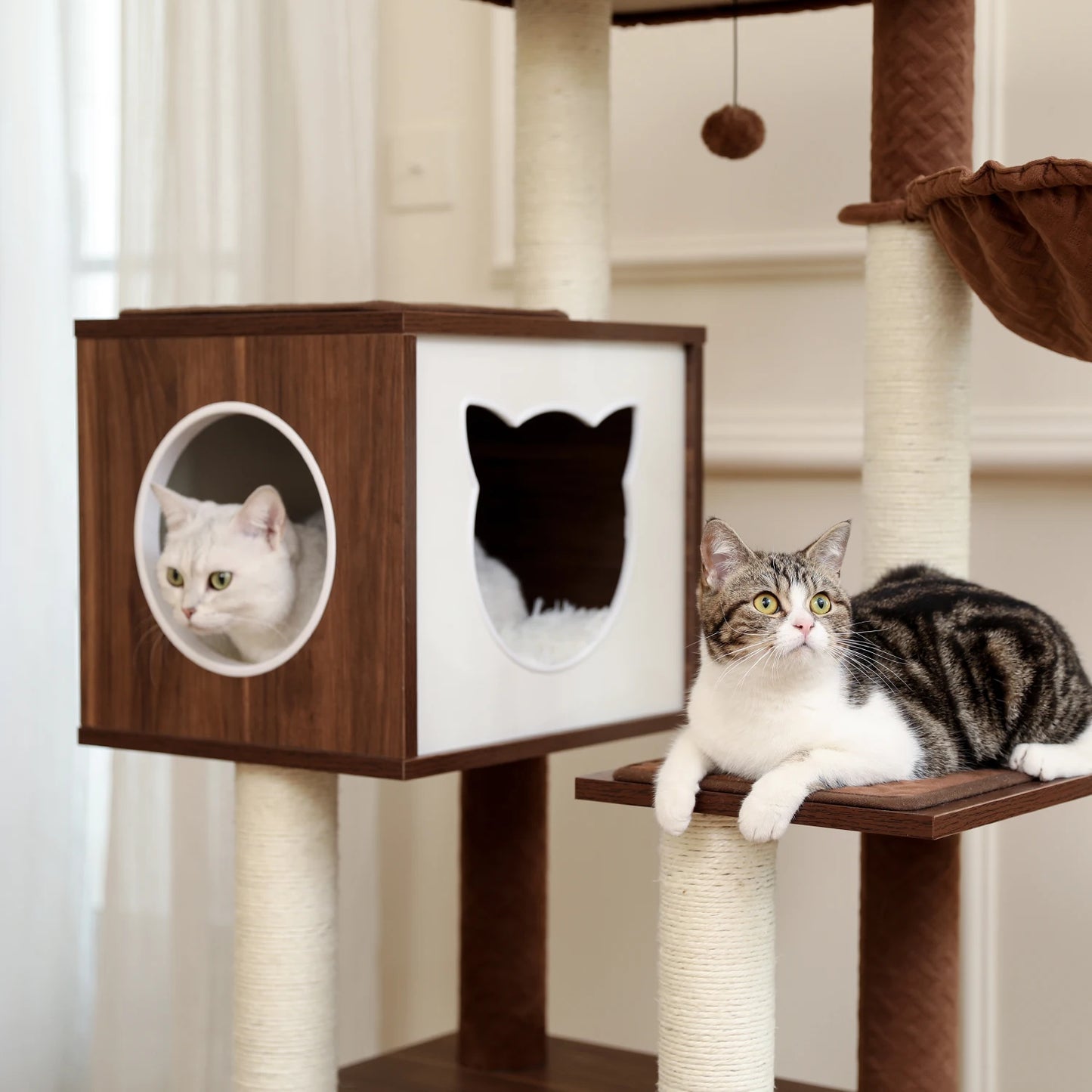 Luxury Cat Tree House Towers - Different Options