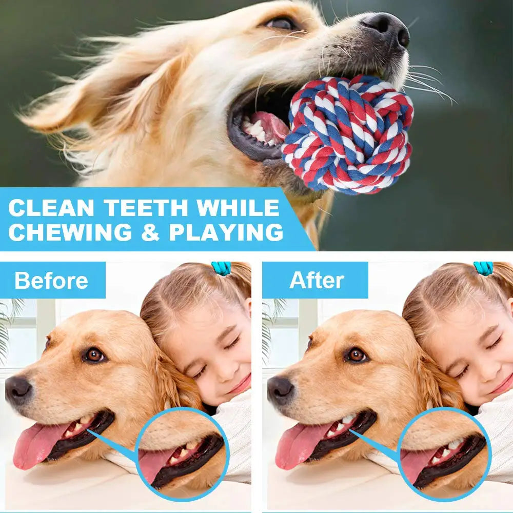 Dog Chew Toys Variety