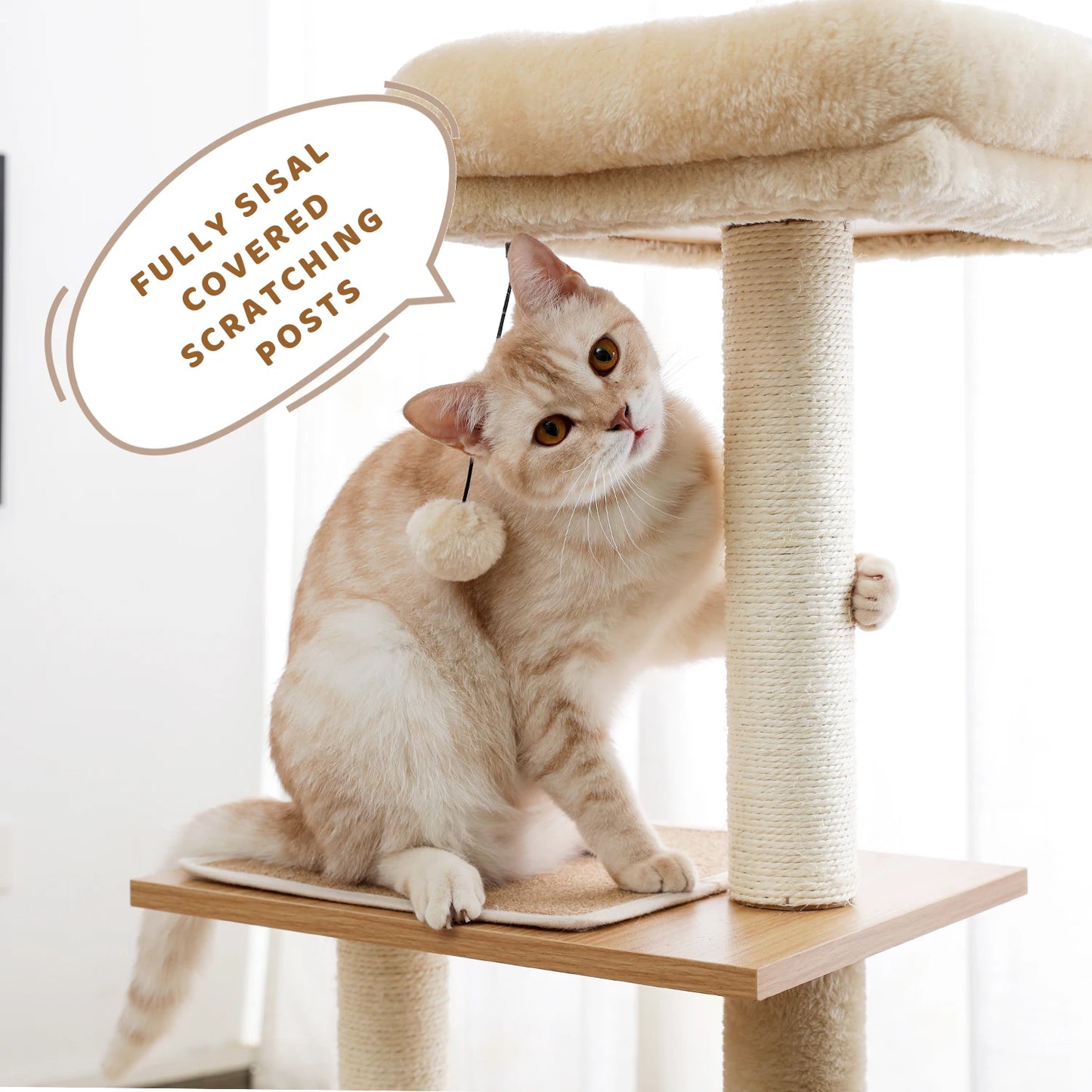 Luxury Cat Tree House Towers - Different Options