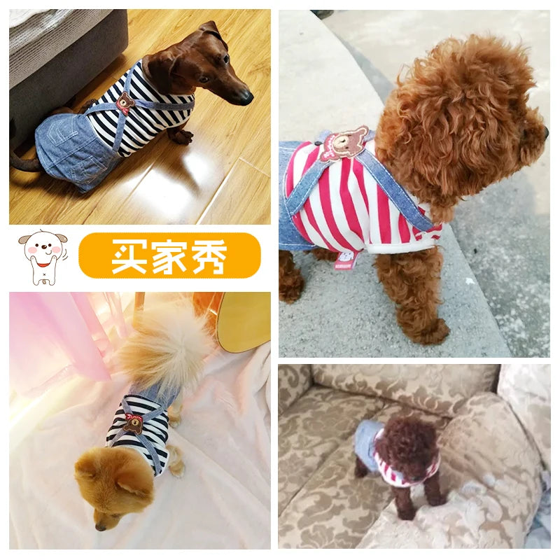 Dog/Puppy outfits