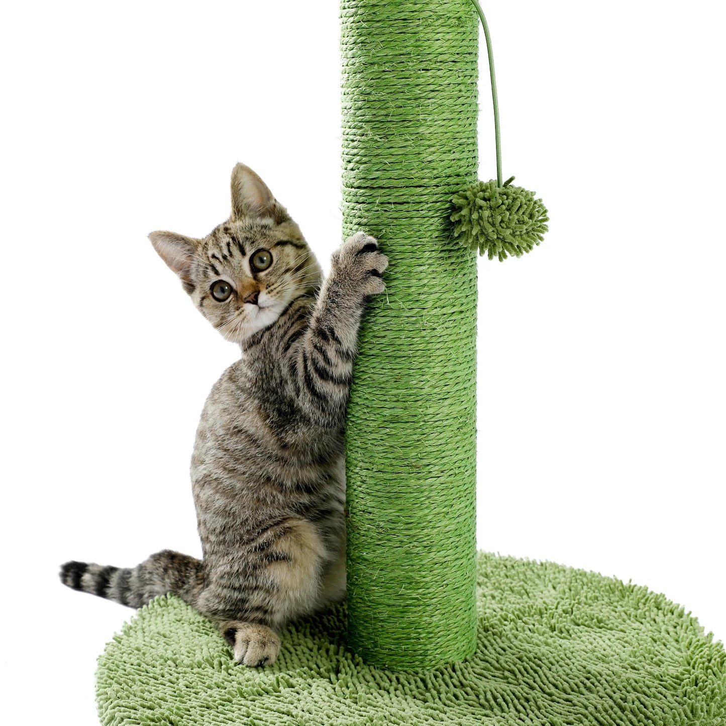 Luxury Cat Tree House Towers - Different Options