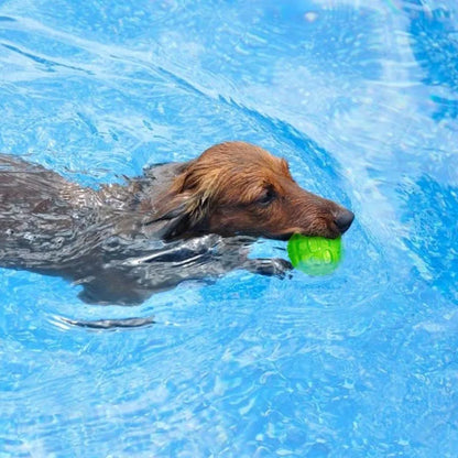 Chew Rubber Ball