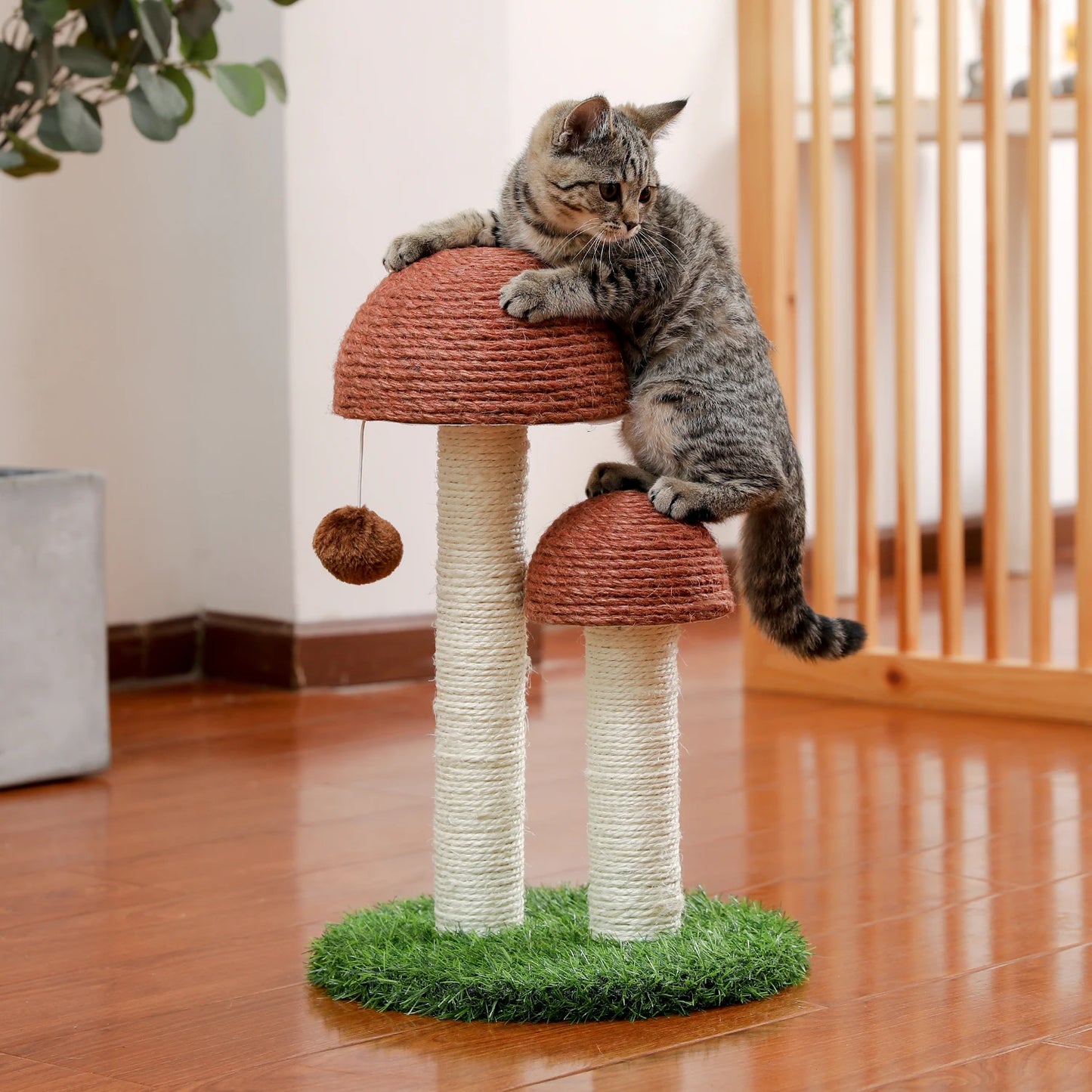 Luxury Cat Tree House Towers - Different Options