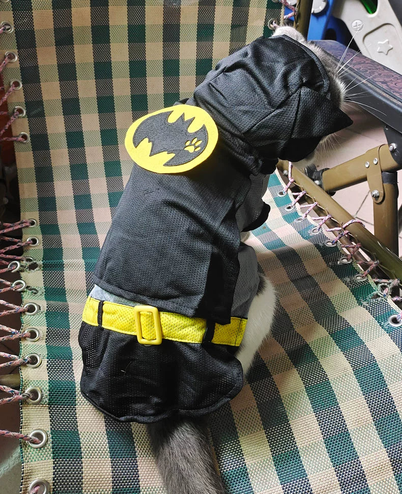 Batman Dog Custome