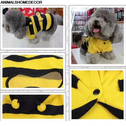 Bee Cat outfit