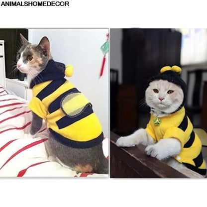 Bee Cat outfit