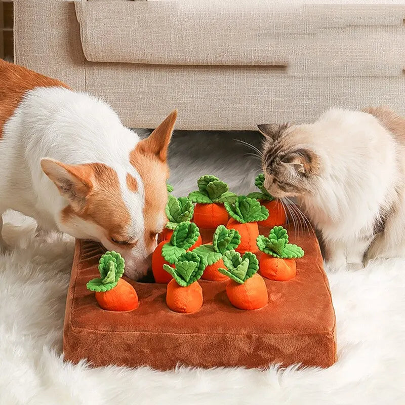 Interactive Carrot Chew Toy