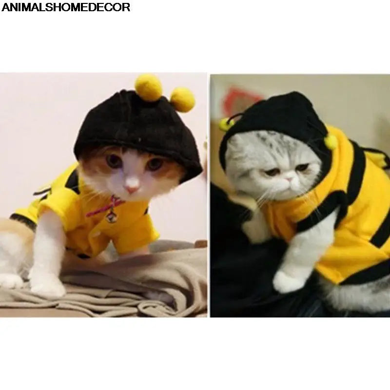 Bee Cat outfit