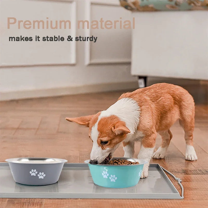 Paw food and water stainless steel bowl