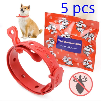 5pcs Dog Flea And Ticks Collar 8 Month Pet