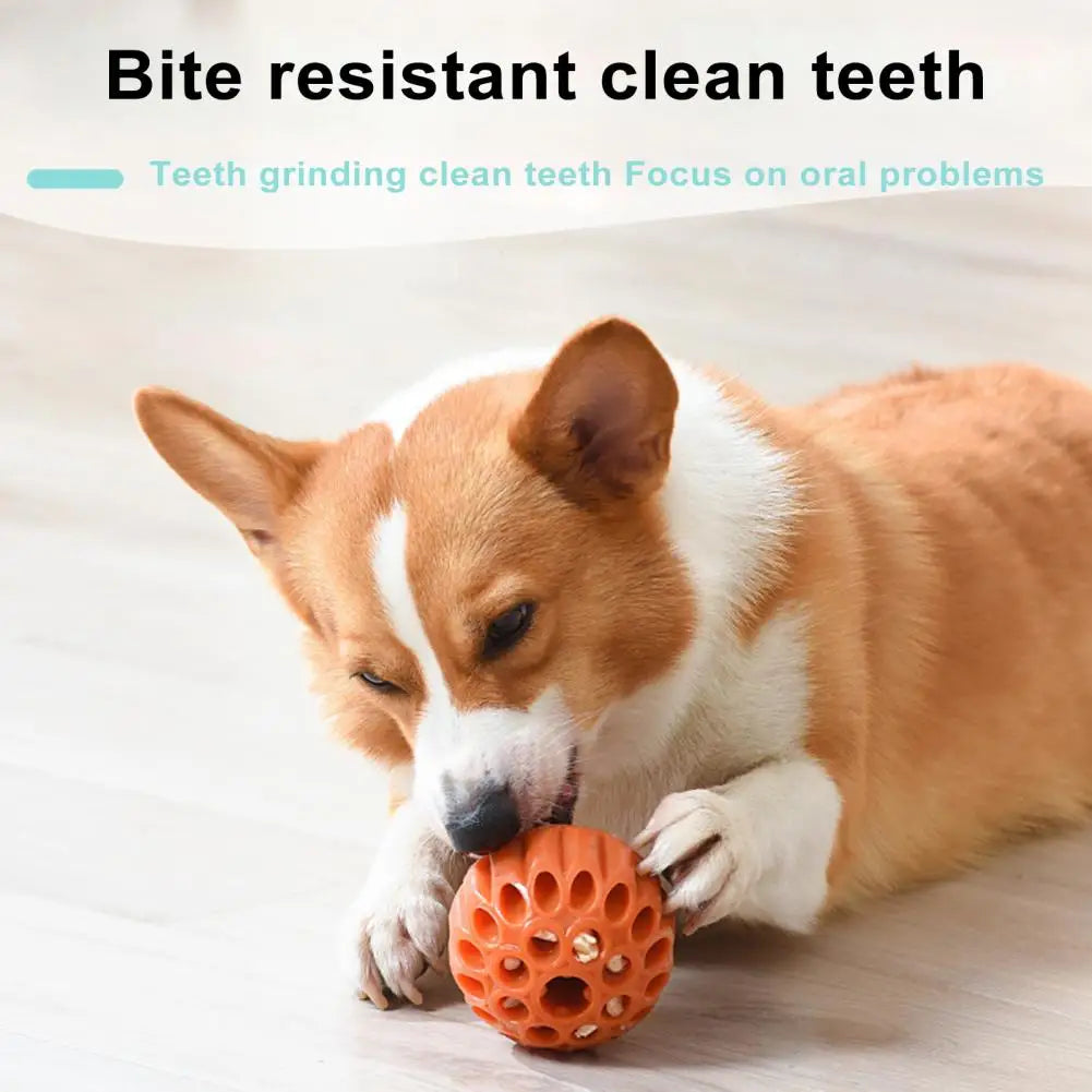 Dog Treat Dispensing Toy