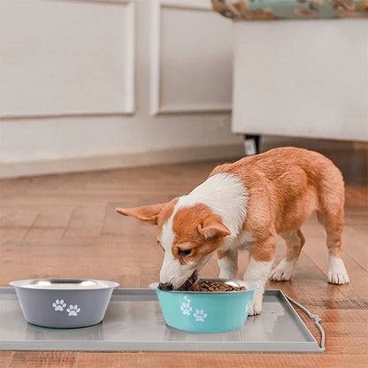 Paw food and water stainless steel bowl