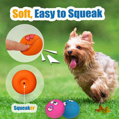 6 Pcs Squeaky Chewing Toy