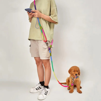 Reflective Leash for Pets