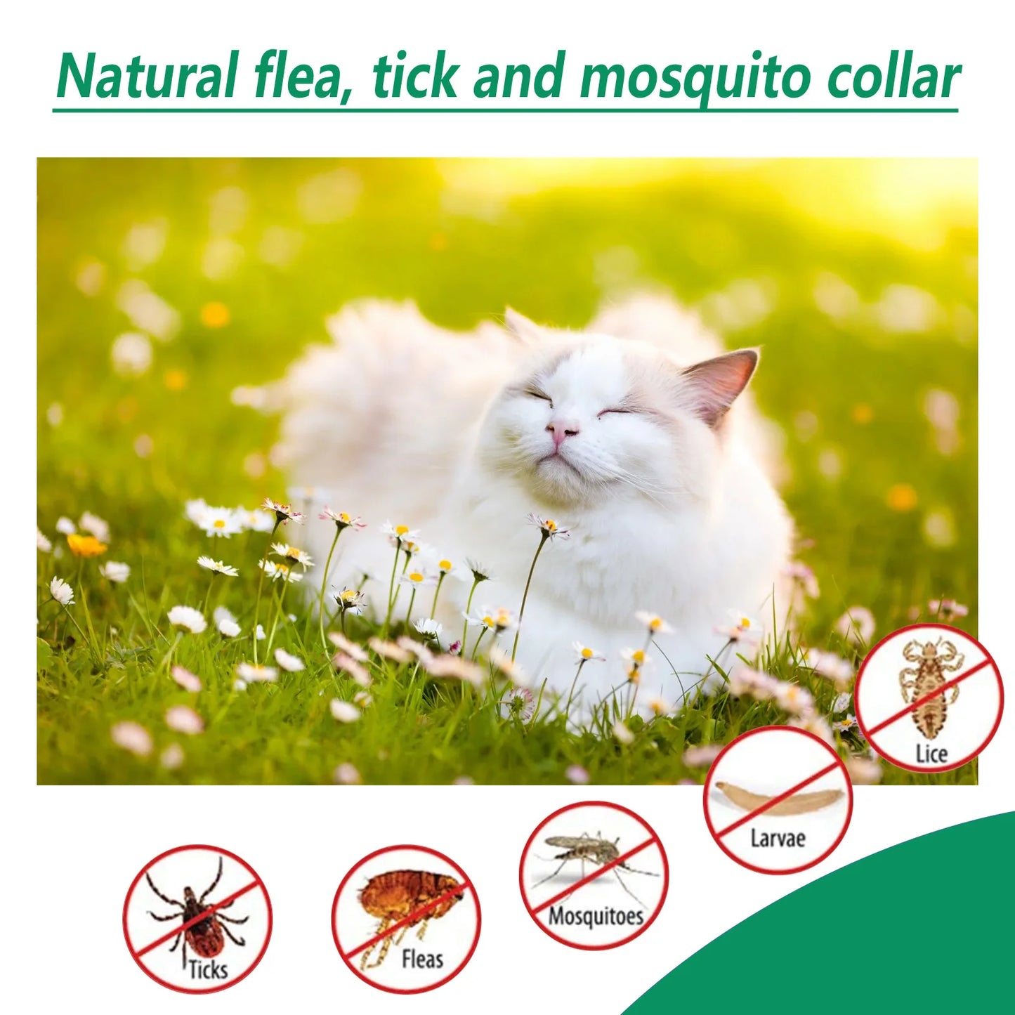 Anti Flea Tick Cat Collar