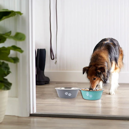 Paw food and water stainless steel bowl