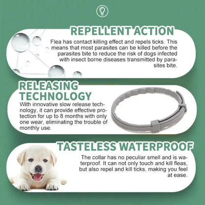 Adjustable Flea & Tick Prevention Collar