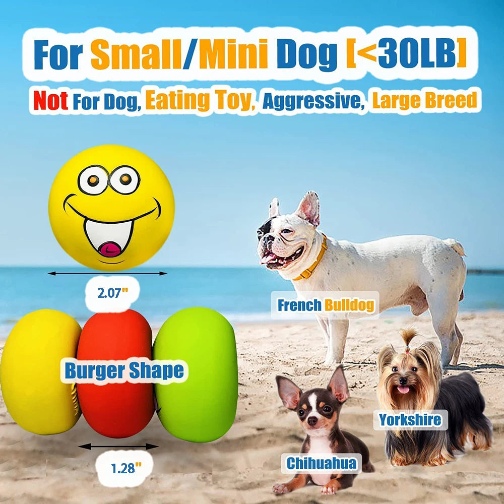 6 Pcs Squeaky Chewing Toy