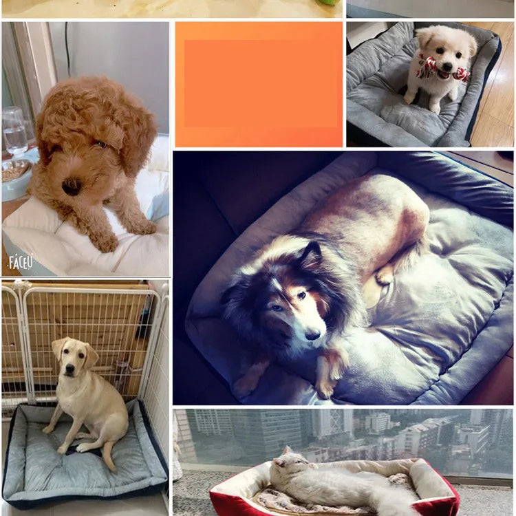 Pet Soft Dog Bed