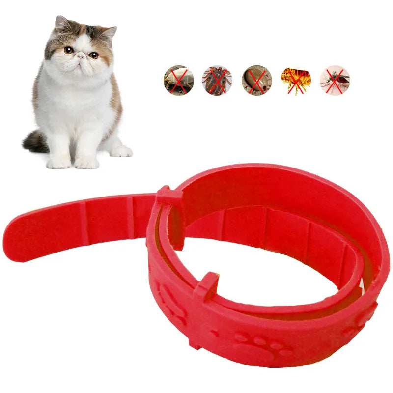 Cat Adjustable Collars Anti Flea Tick Cat