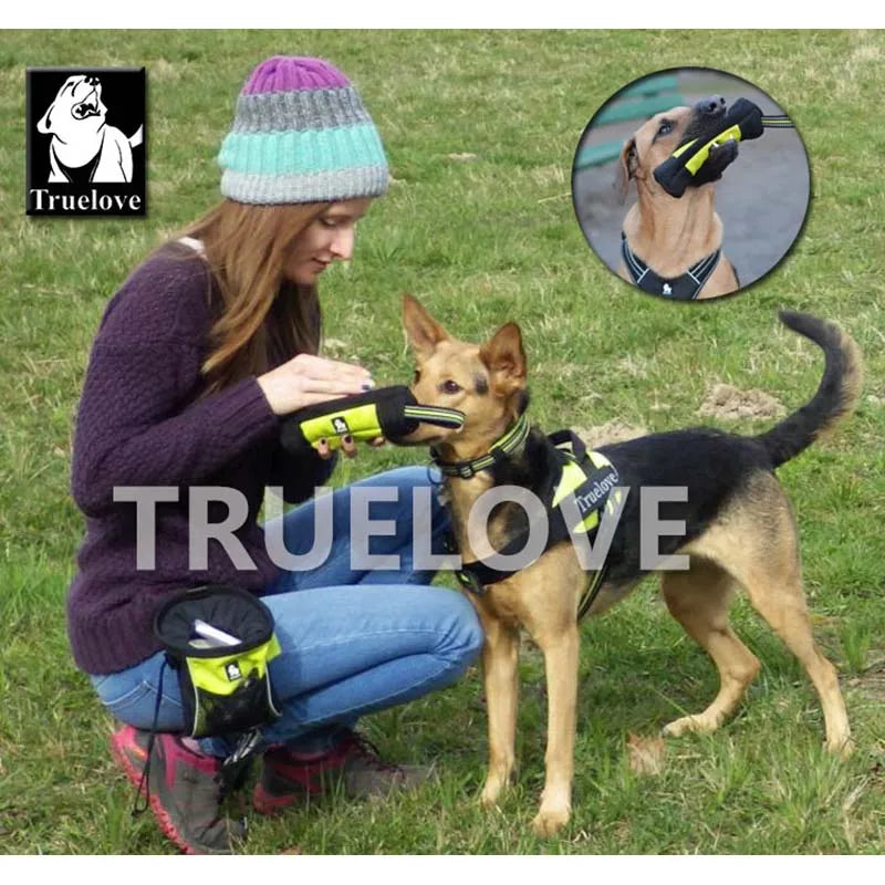 Pet Reflective Treat Bag