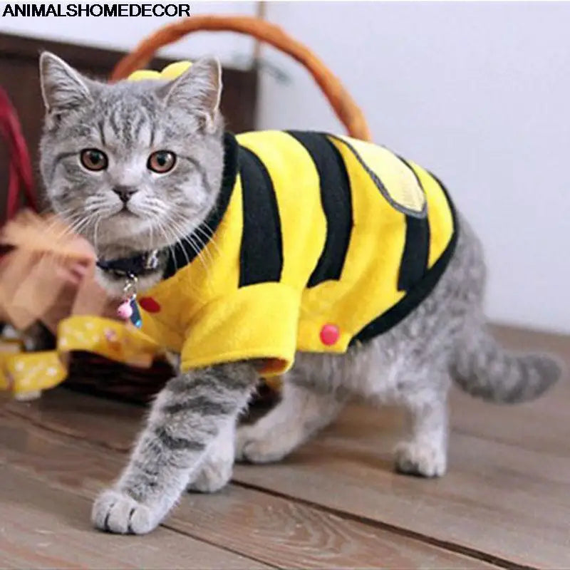 Bee Cat outfit