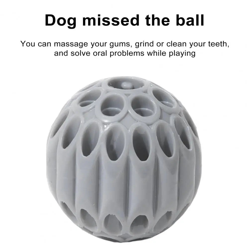 Dog Treat Dispensing Toy