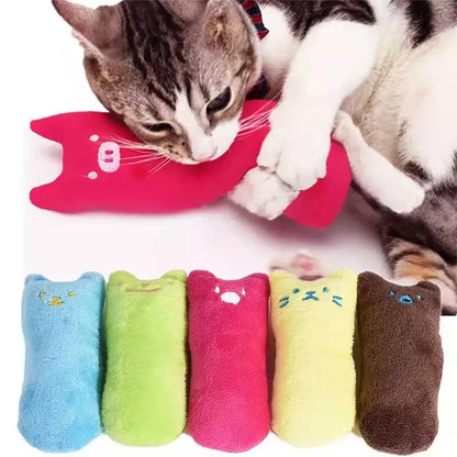 Cat Plush Toy