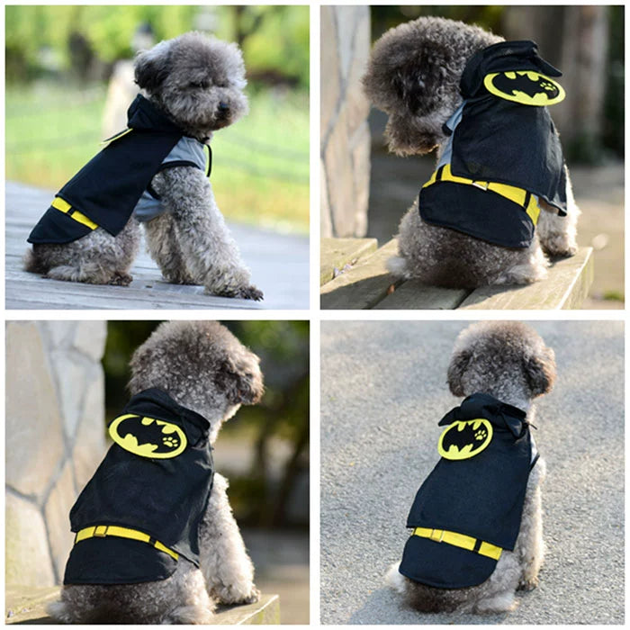 Batman Dog Custome